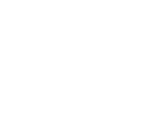 EV-header-logo-white